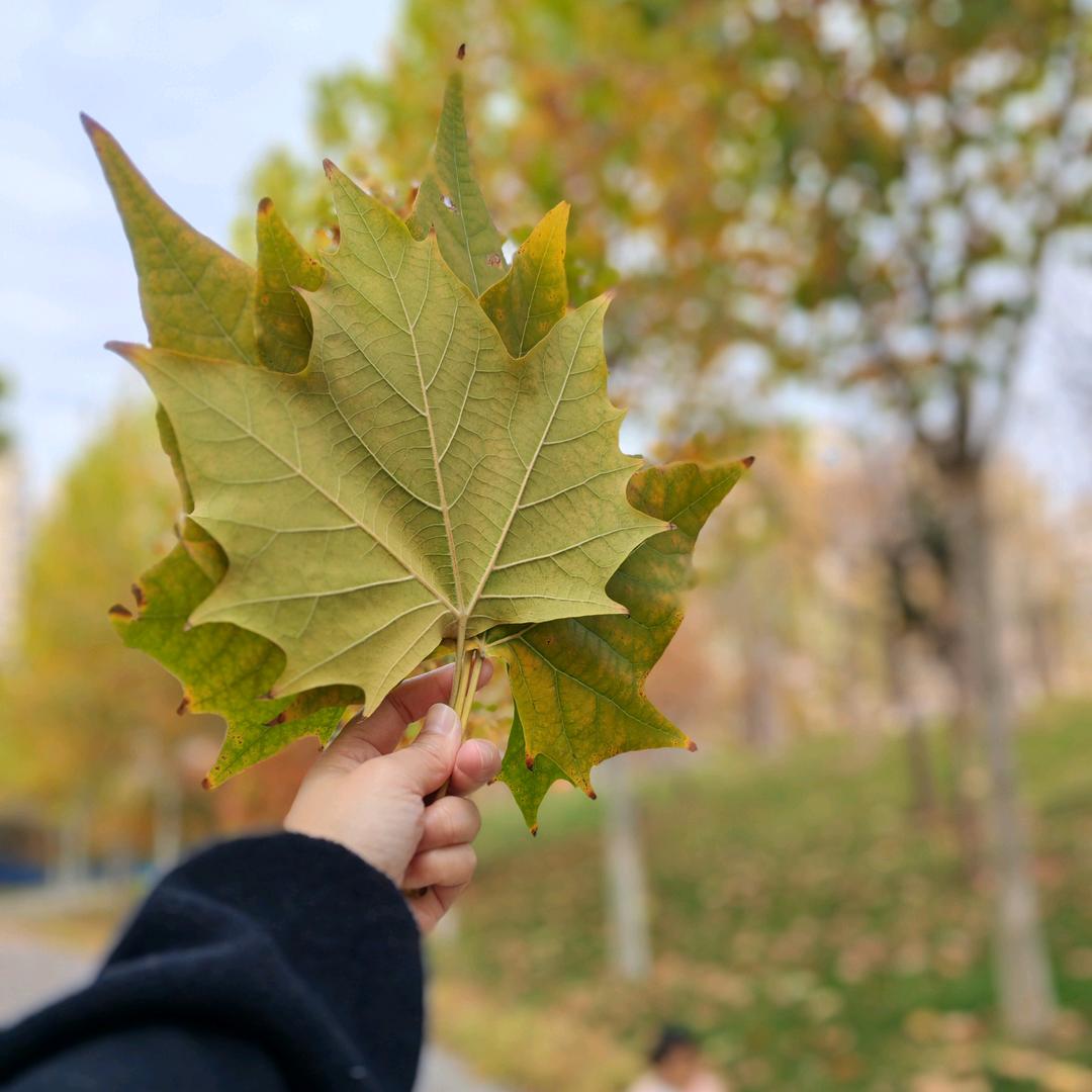 热爱生活的数学老师