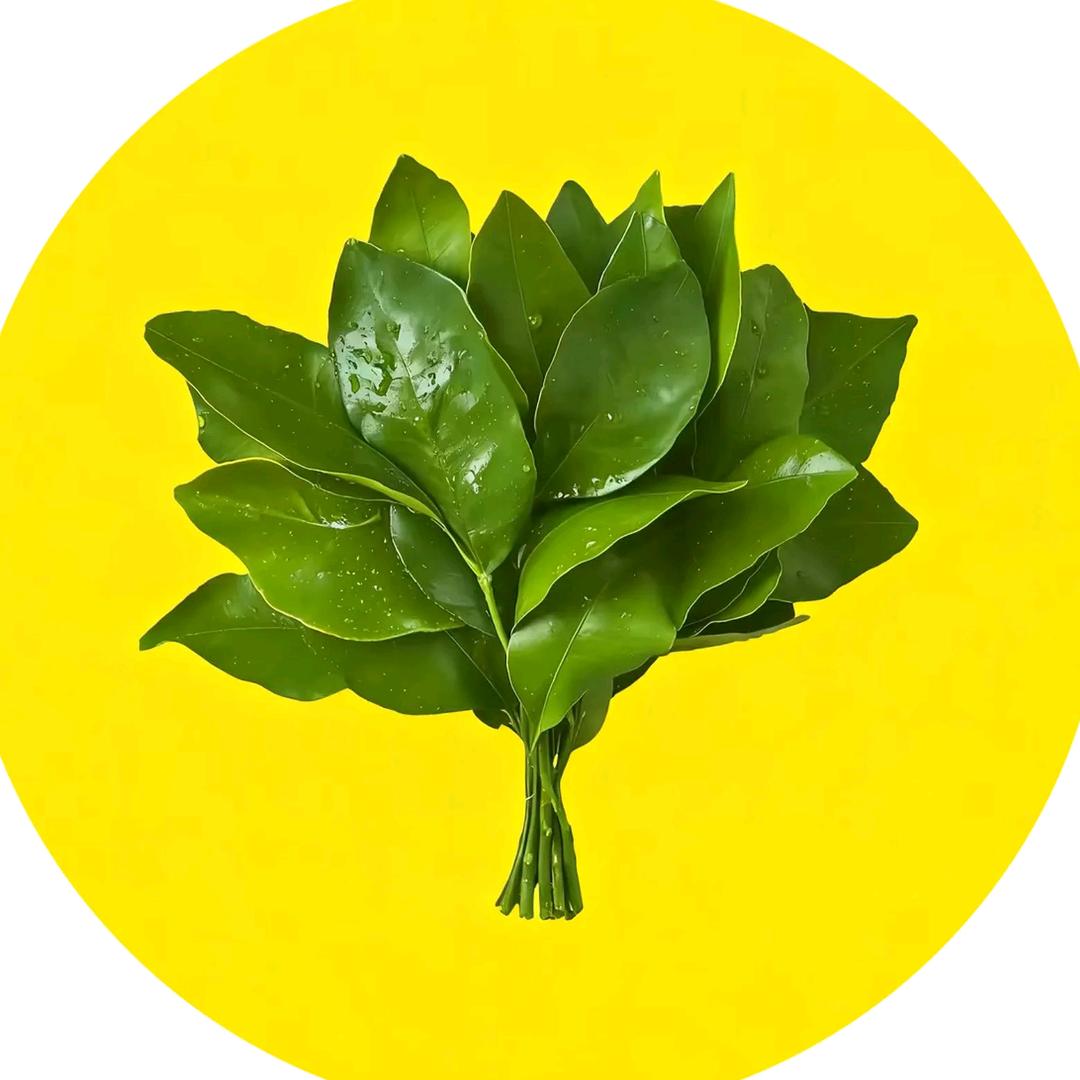 夏唯苒🌈🌈🌈