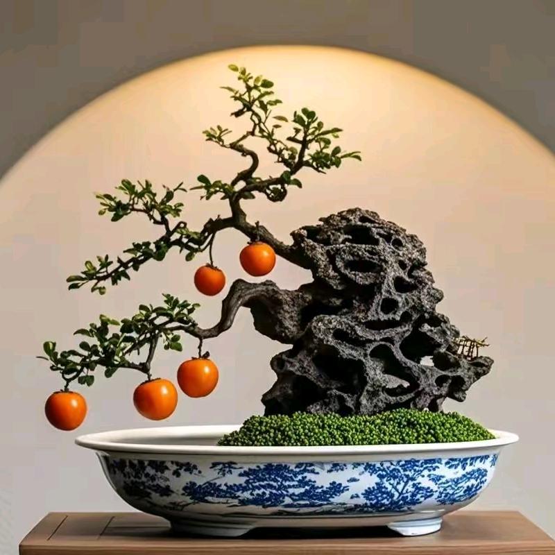 西门吹弹园艺