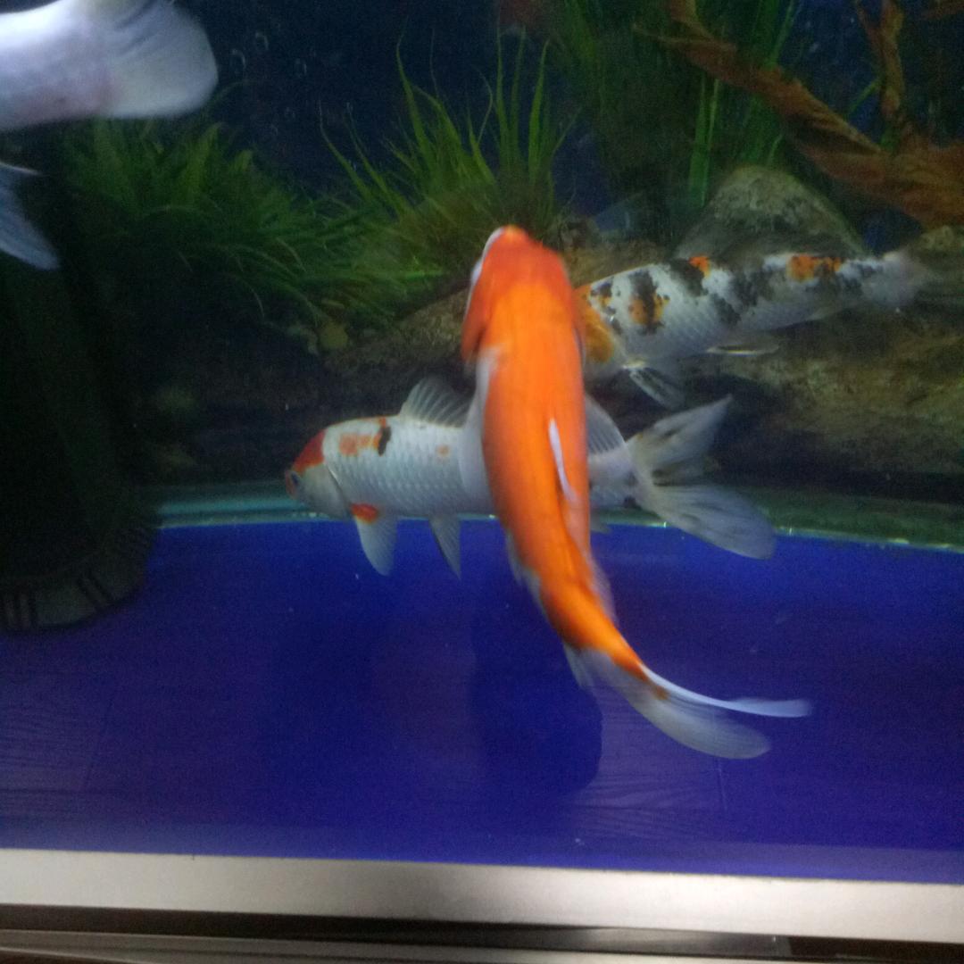 万物生光