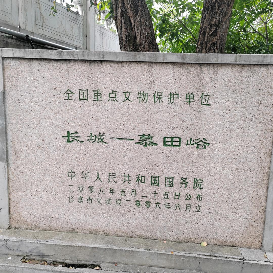 跃动篮球凯教练