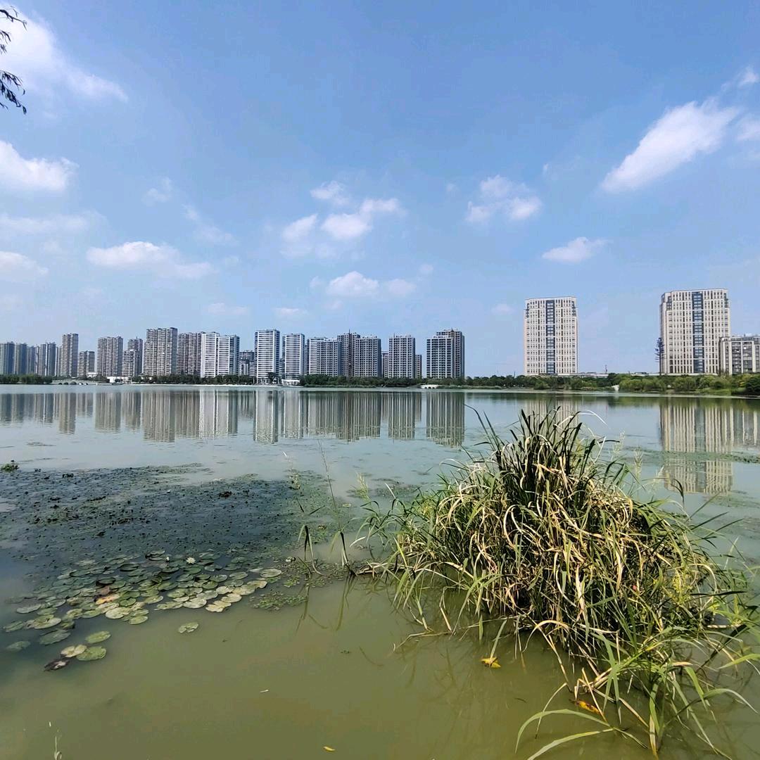 德清最不靠谱的房产人