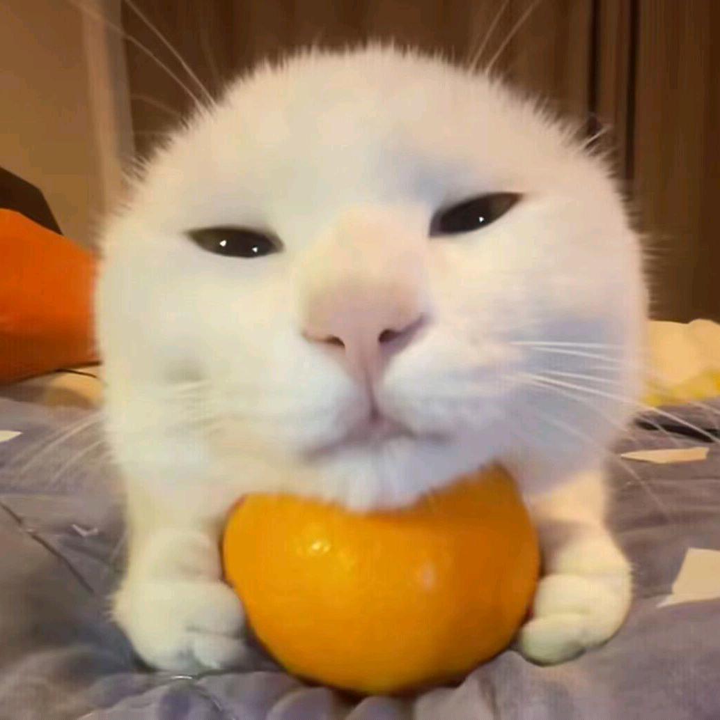沫白_