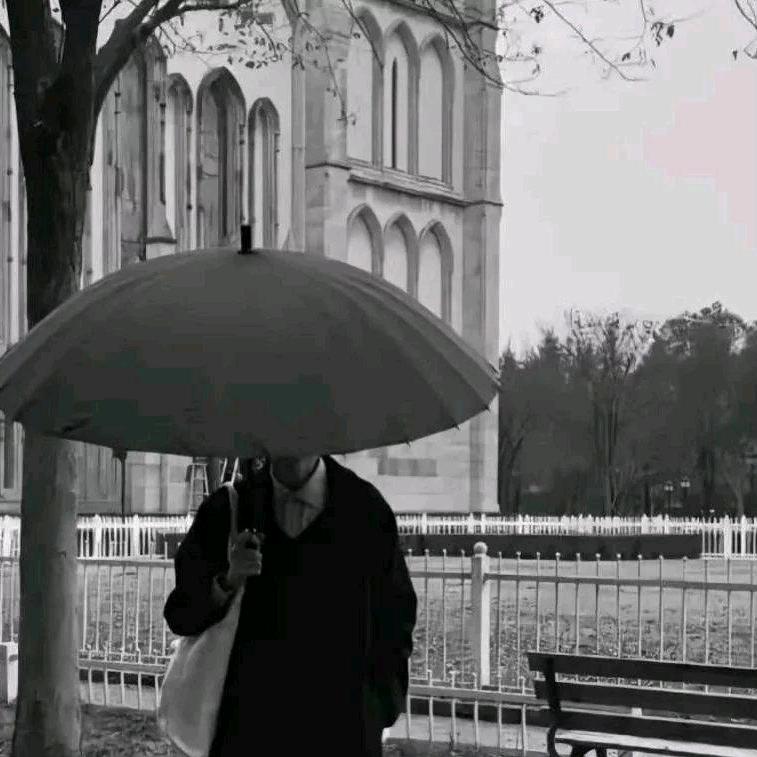 🌈断腿尼克杨！