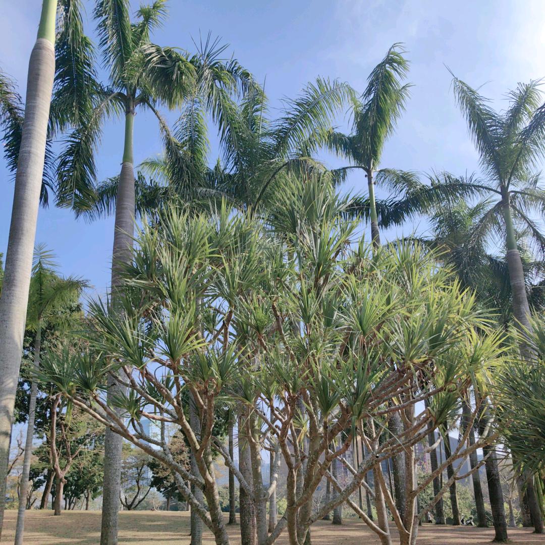 临沂瑞美康健康管理有限公司