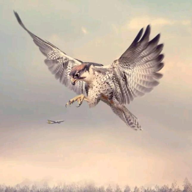 三十年喧嚣尽散