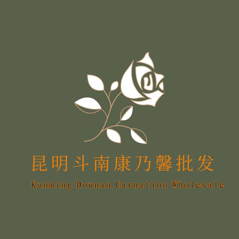 昆明斗南康乃馨批发庄子