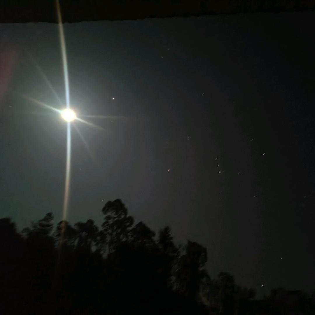 羽尘