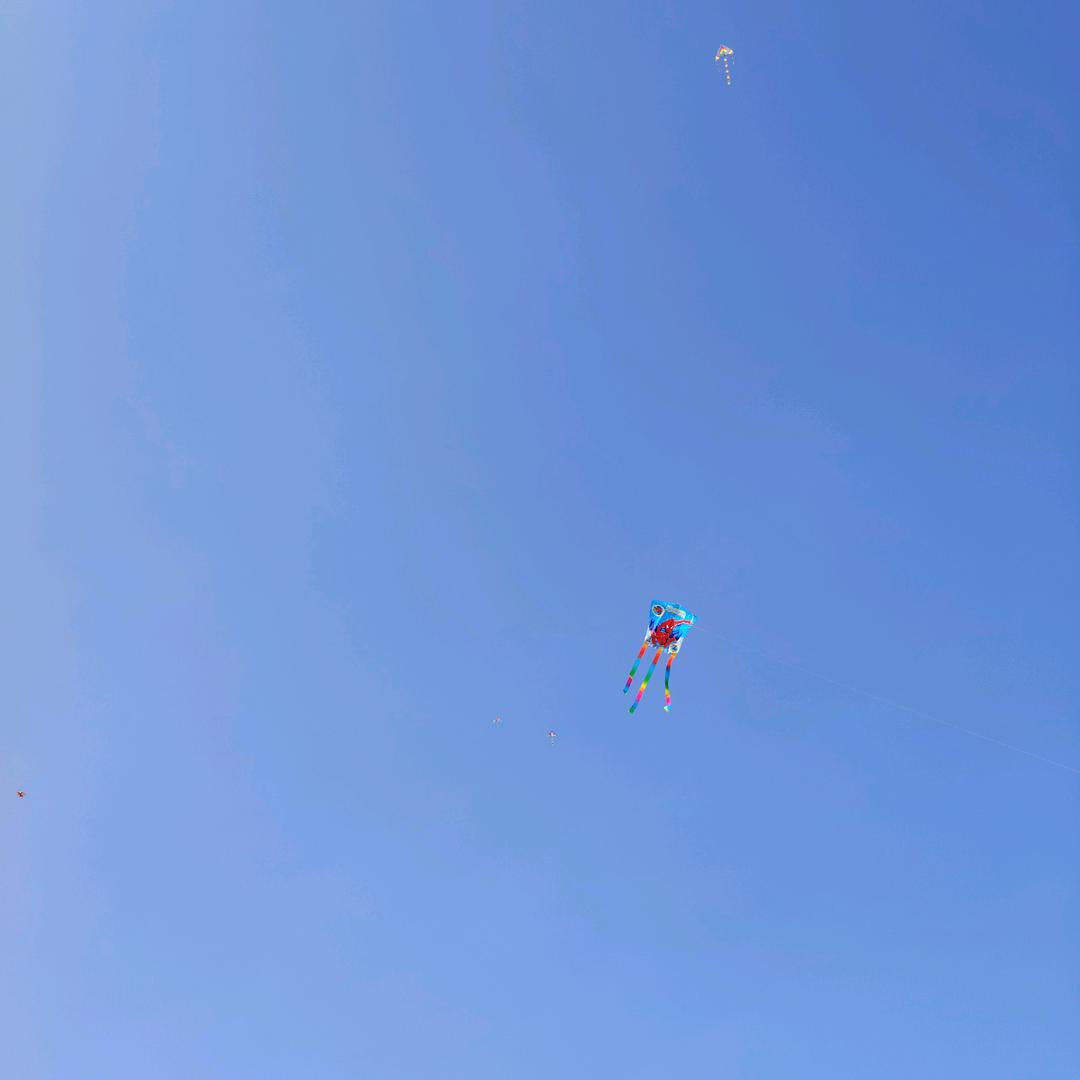 哈哈哈哈哈哈哈哈哈哈哈哈哈哈好