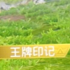 解说视频