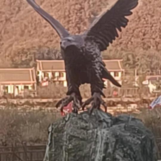 成文