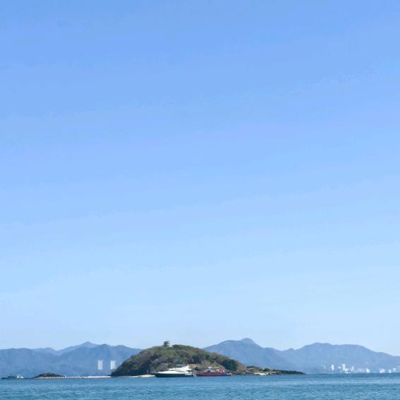 鬏鬏鬏