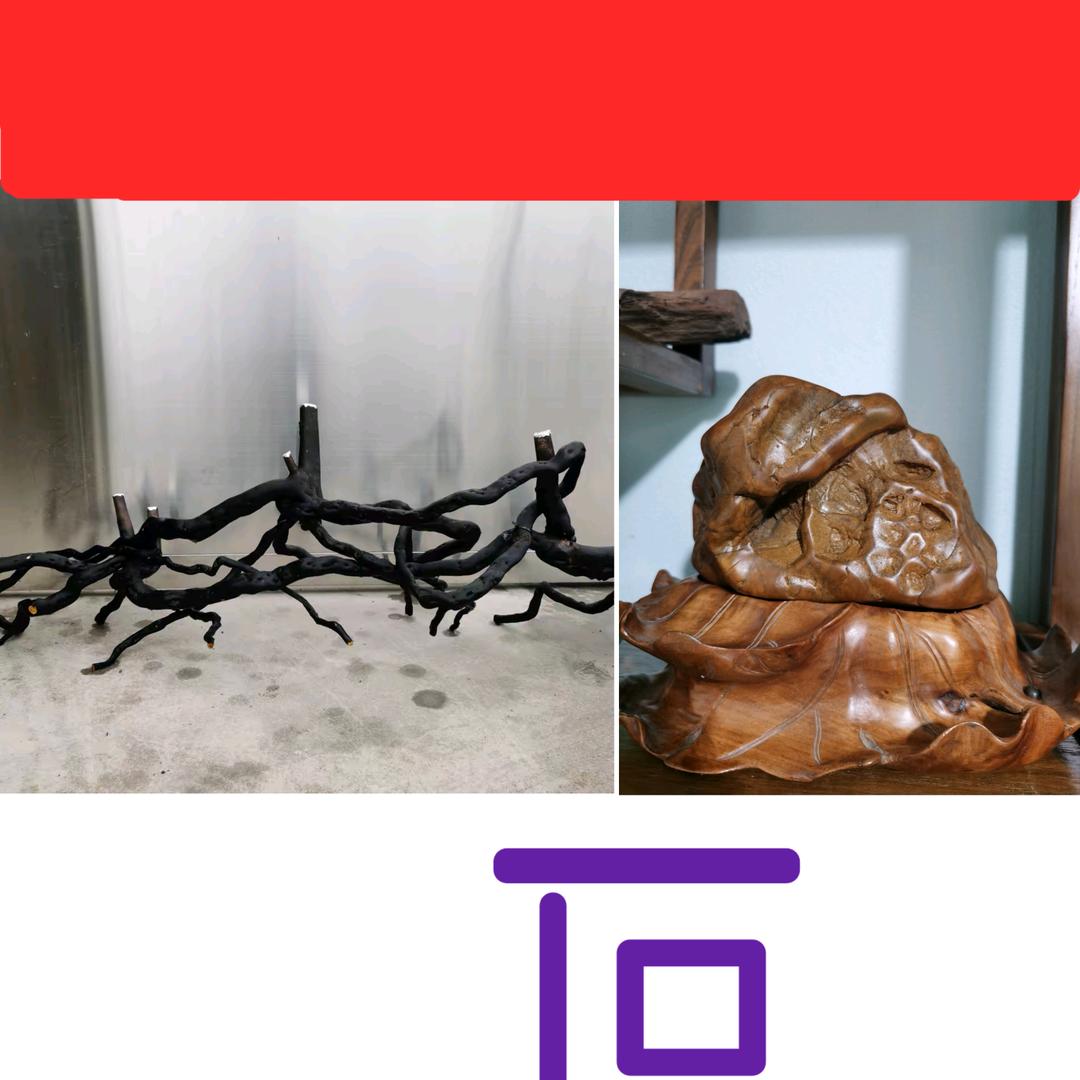 启帆园艺.奇石（老鸦柿先森）