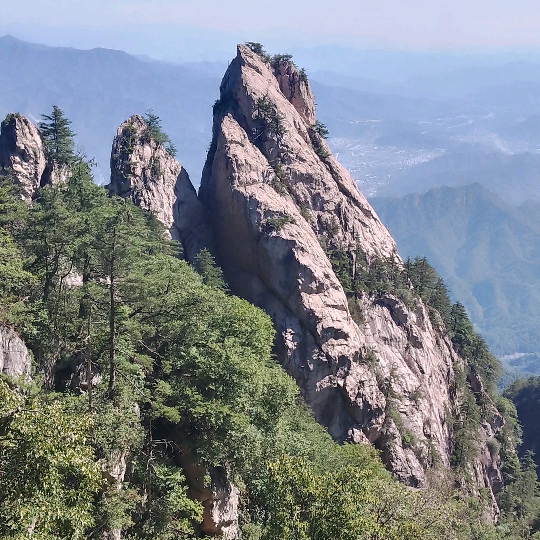 顾影自怜