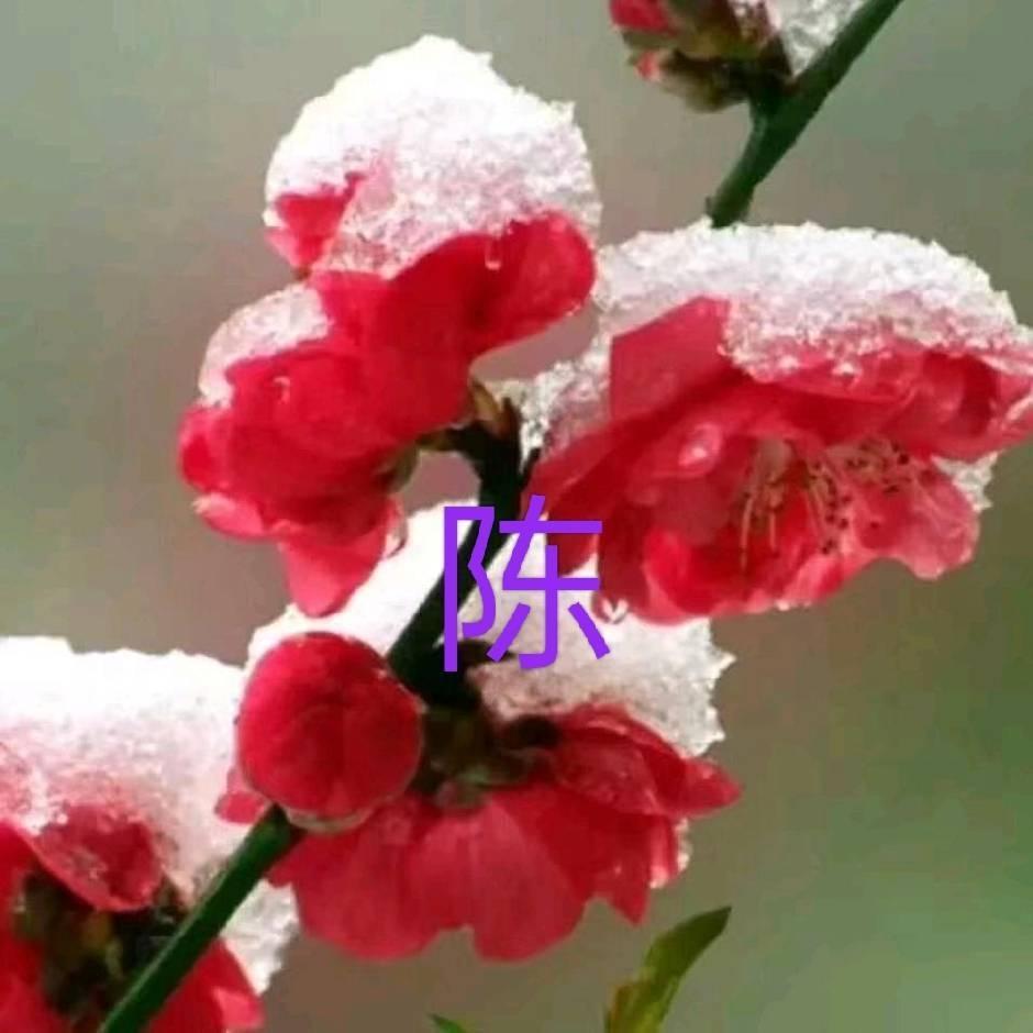 若梦☁️