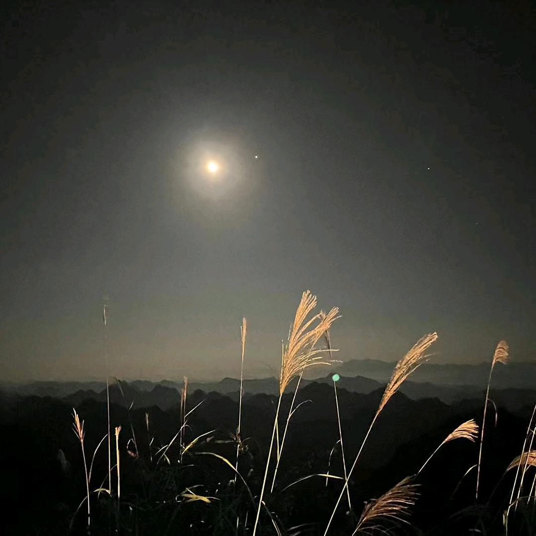 是大锤呀