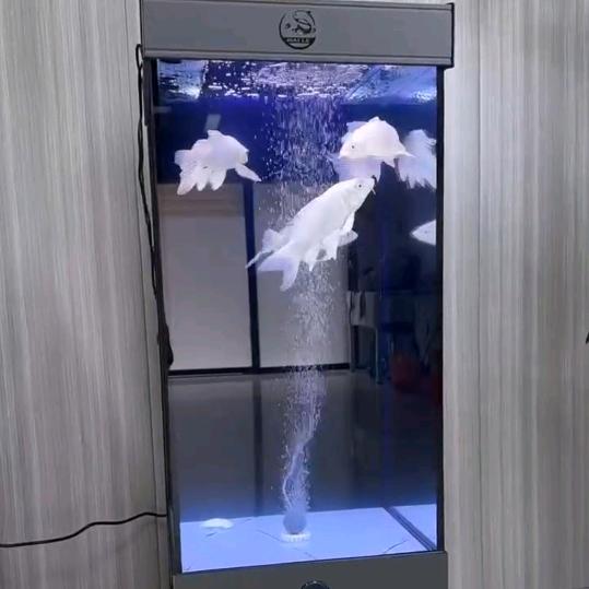 人间正道是沧桑