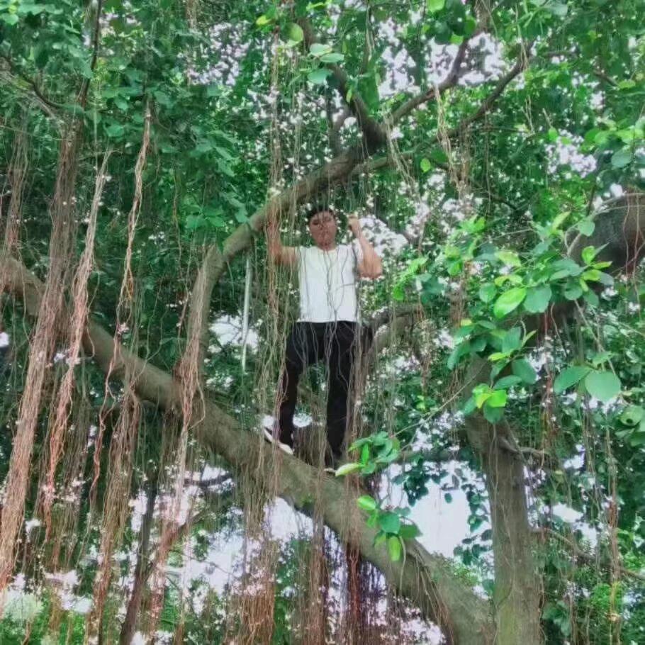 遇见你是一种缘分