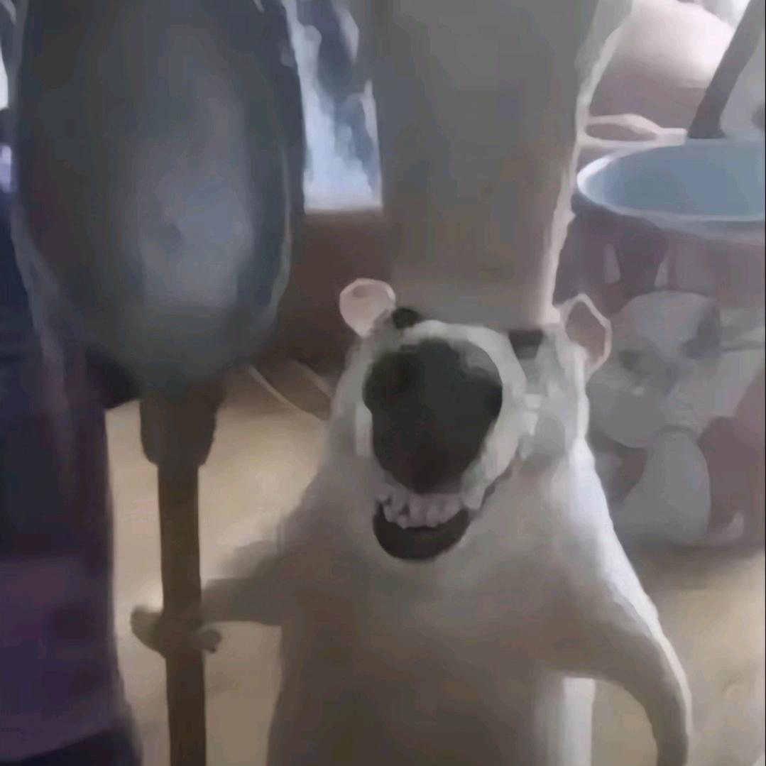 HIA.
