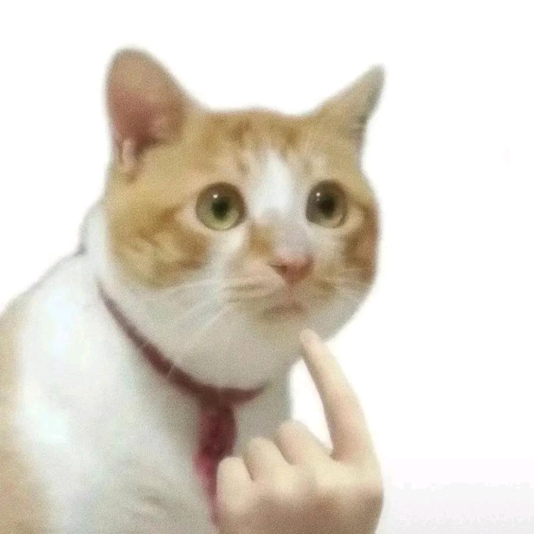 我叫土拔鼠
