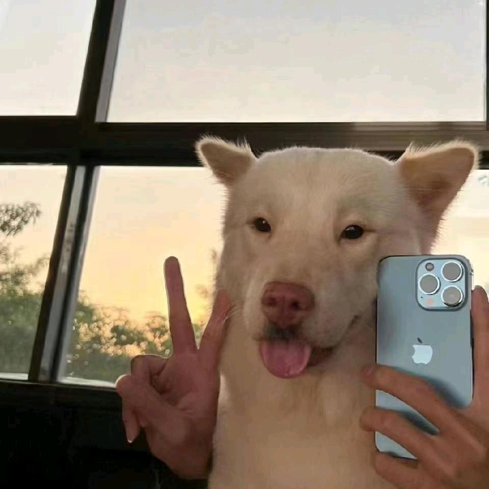 昆明租房，阿东