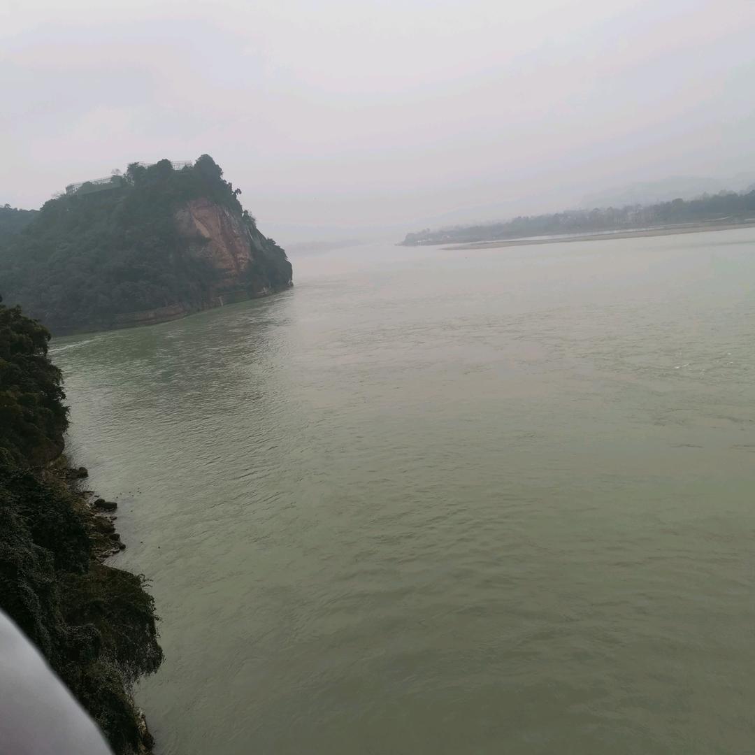 忠哥