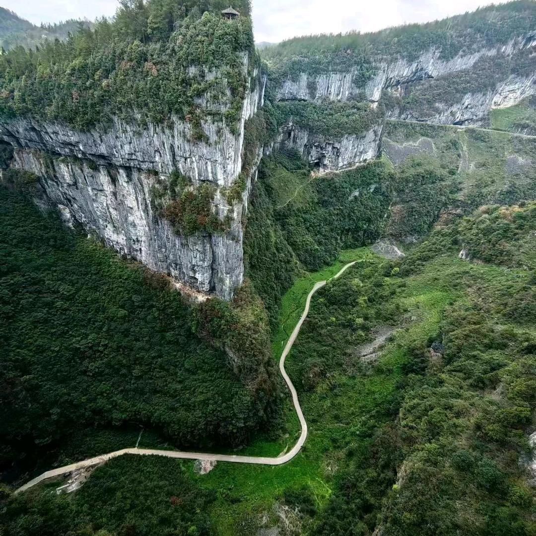 与光同陈