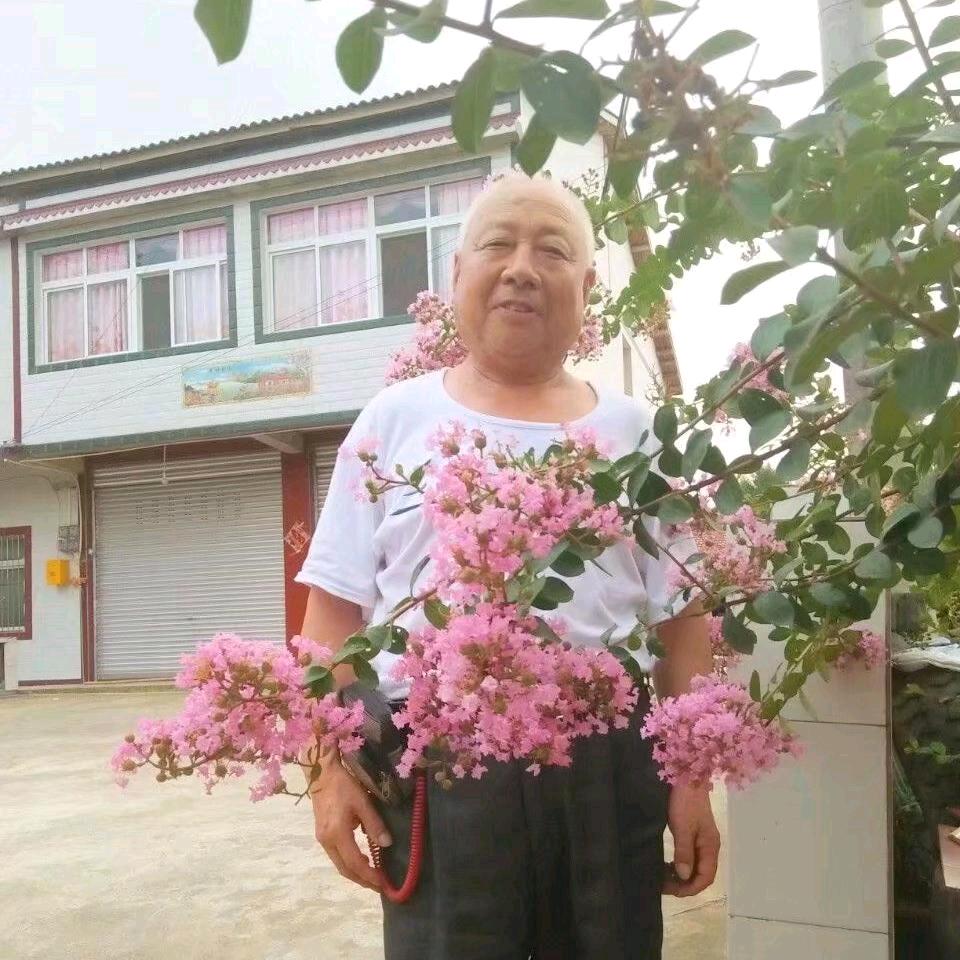 初春的太阳
