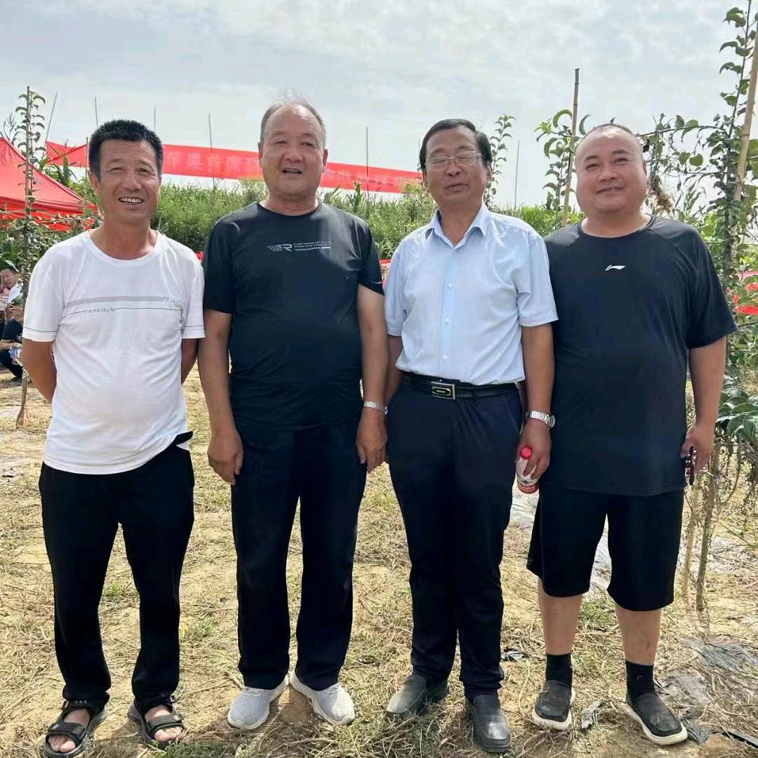 秦脆瑞雪花硕红思尼克等新品种推广