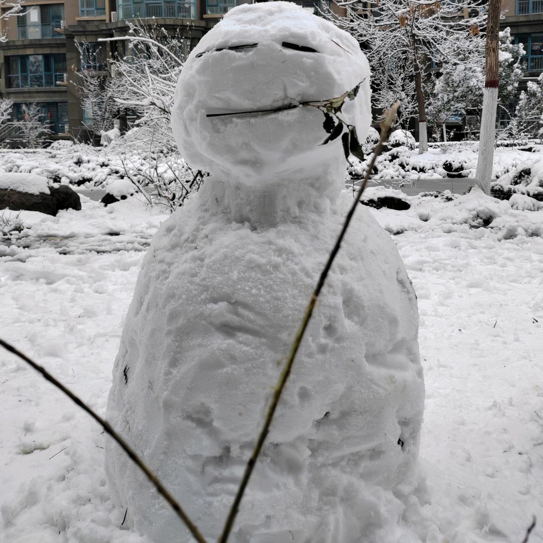 人间秃头小宝贝