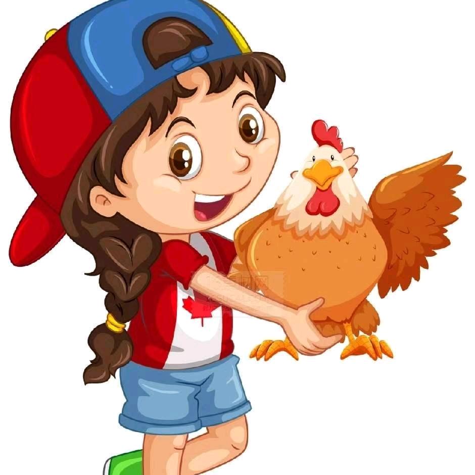 牵绊《平安·源芮农场》常年卖鸡🐔