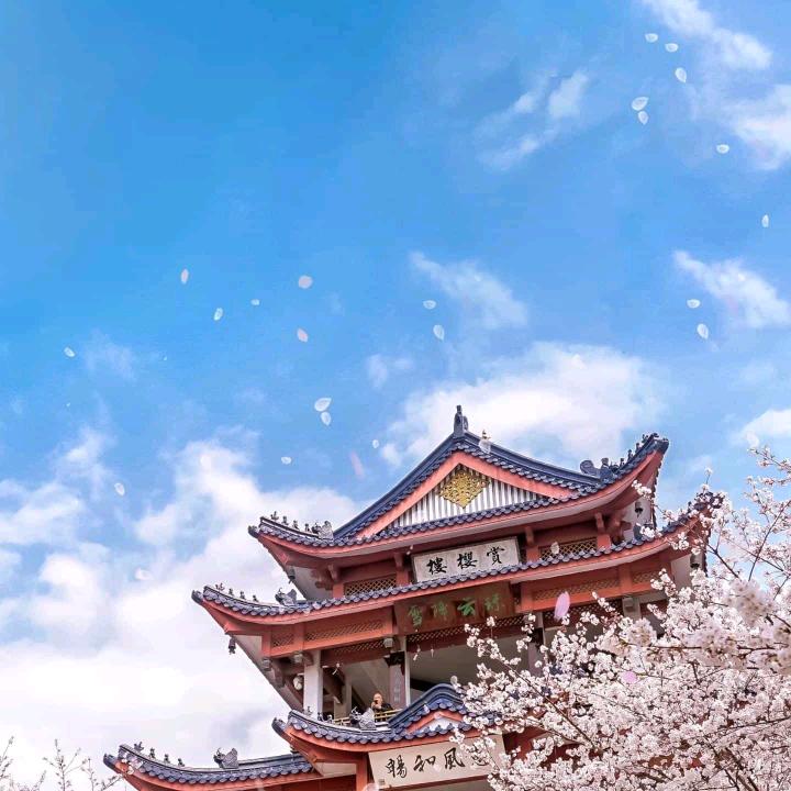💞💞时间过客༊