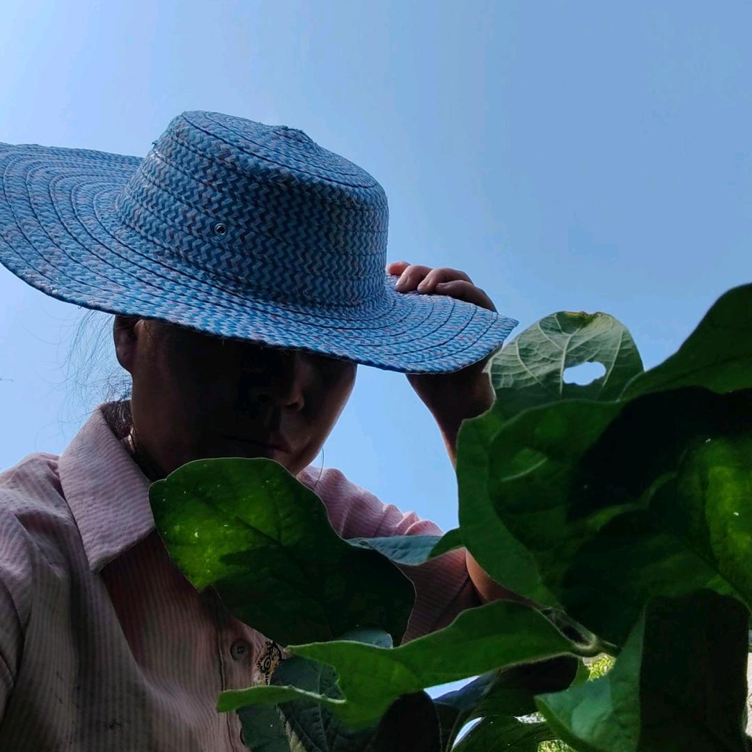 农村小群