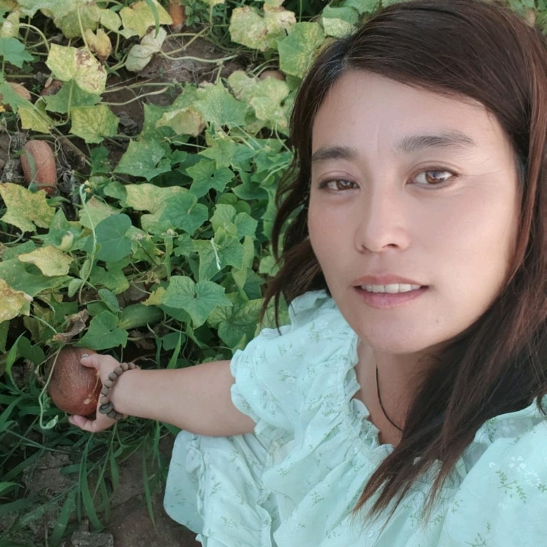 小红黄瓜籽粉