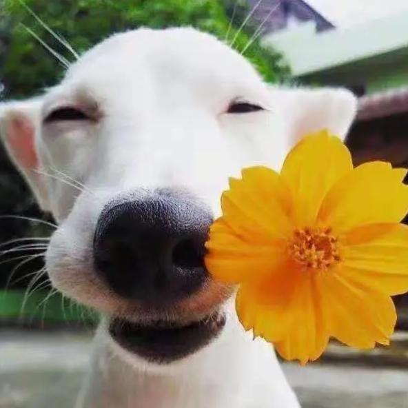 何尝不可