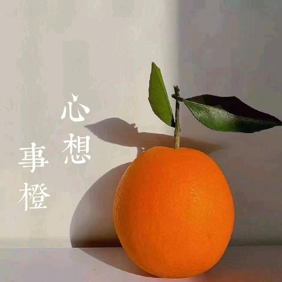 九十九分果园