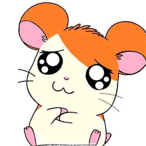 小🐭球