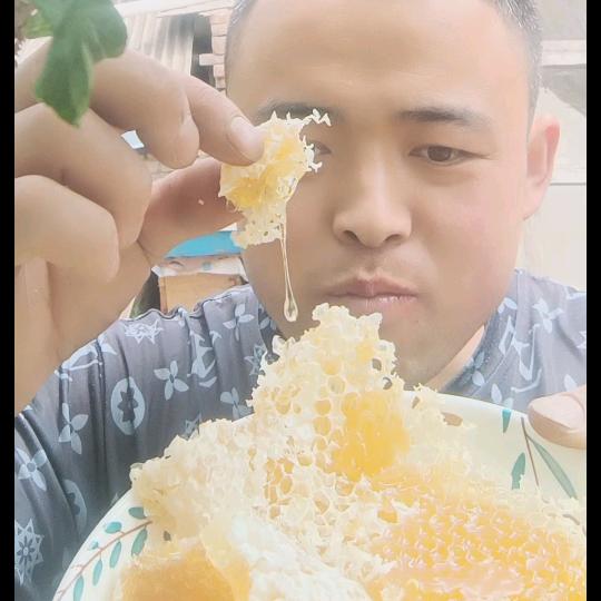 尕肖✺养土蜂✺