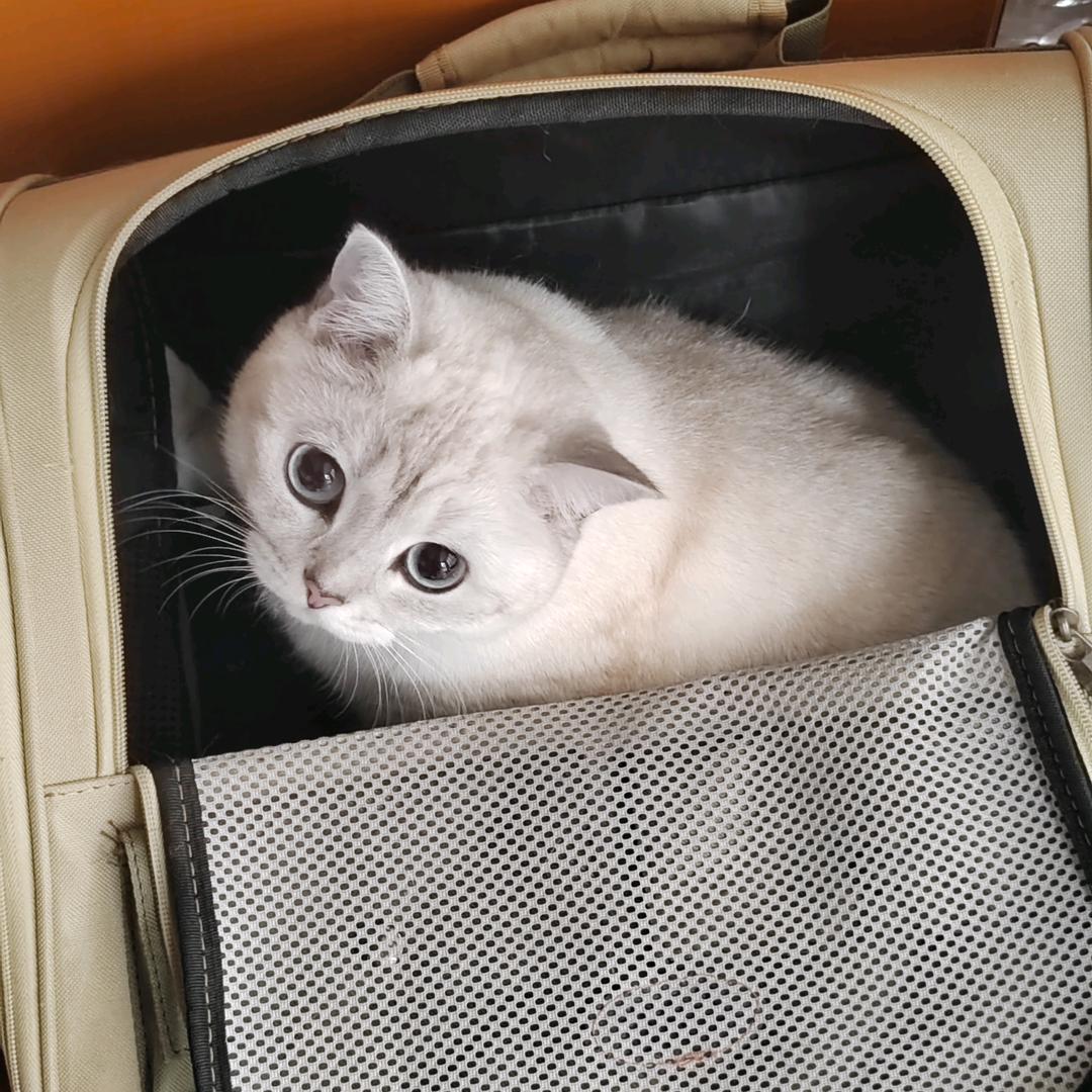 CF科技（驱动）