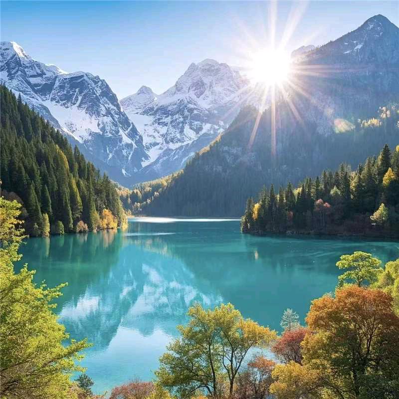 杨花漫野，《好货优选》