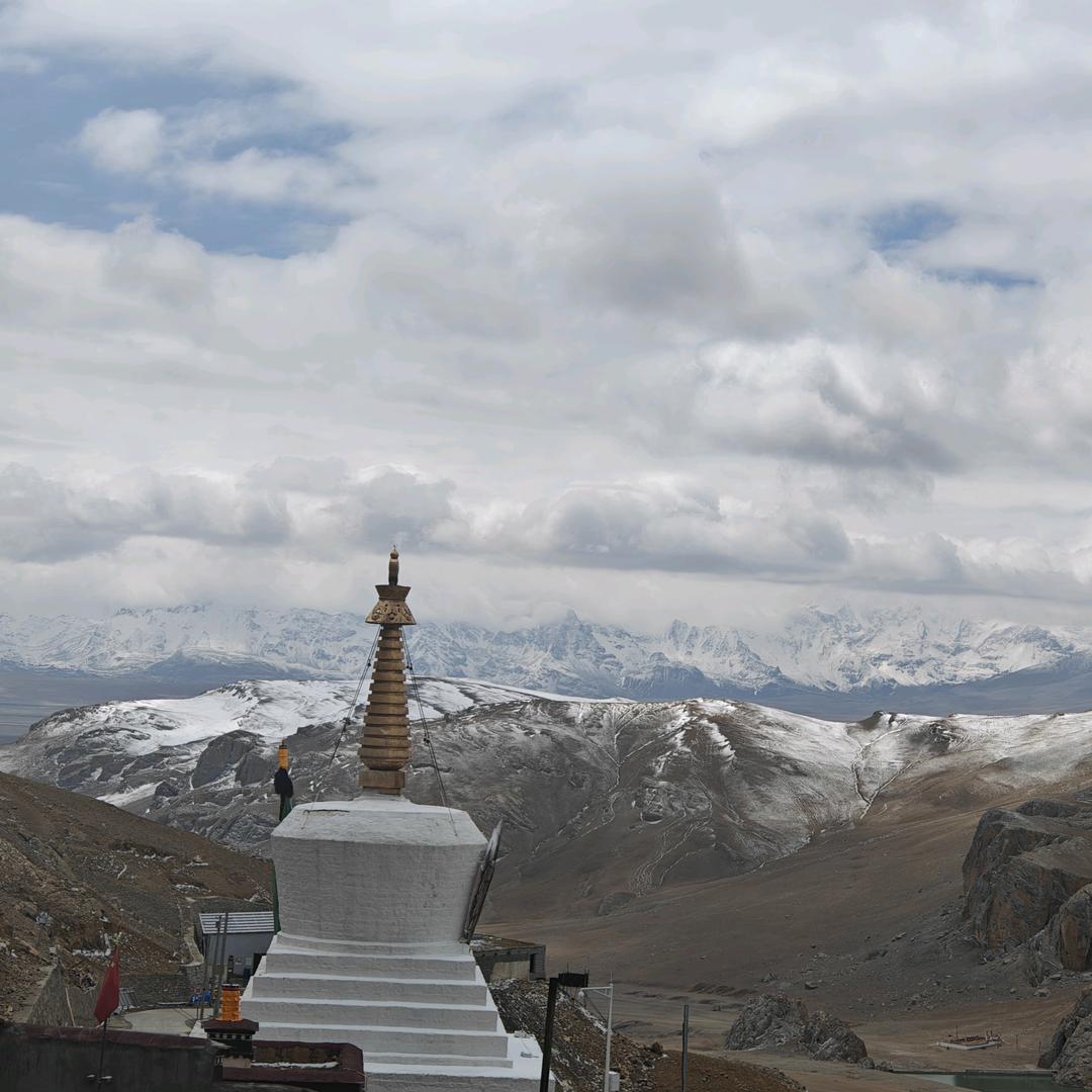 后藏情音乐平台