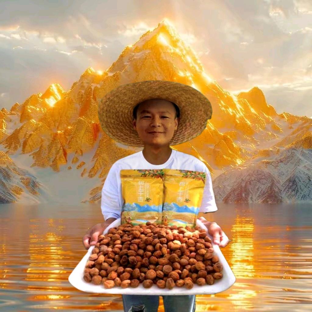 疆域泽龙