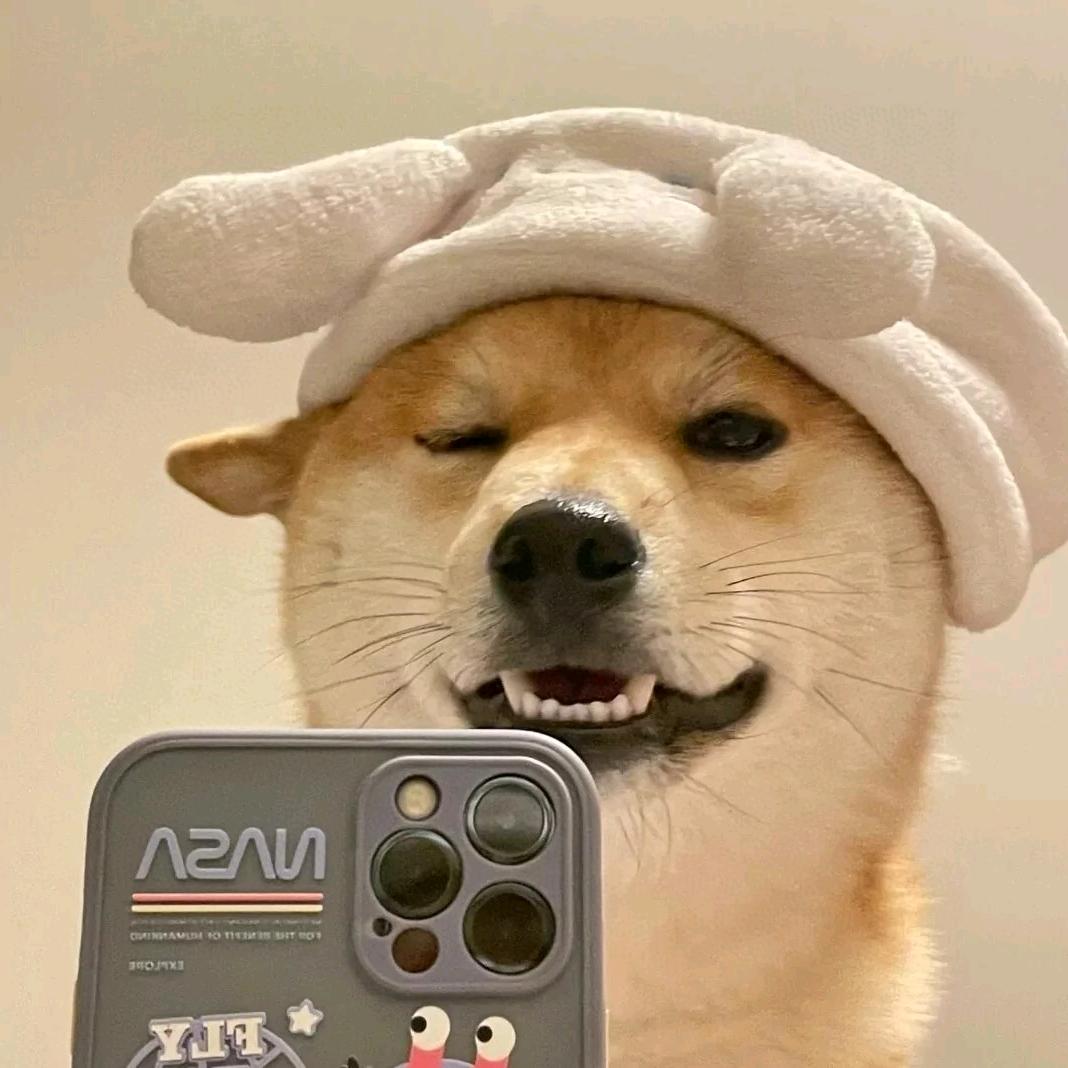 刷哇滴卡