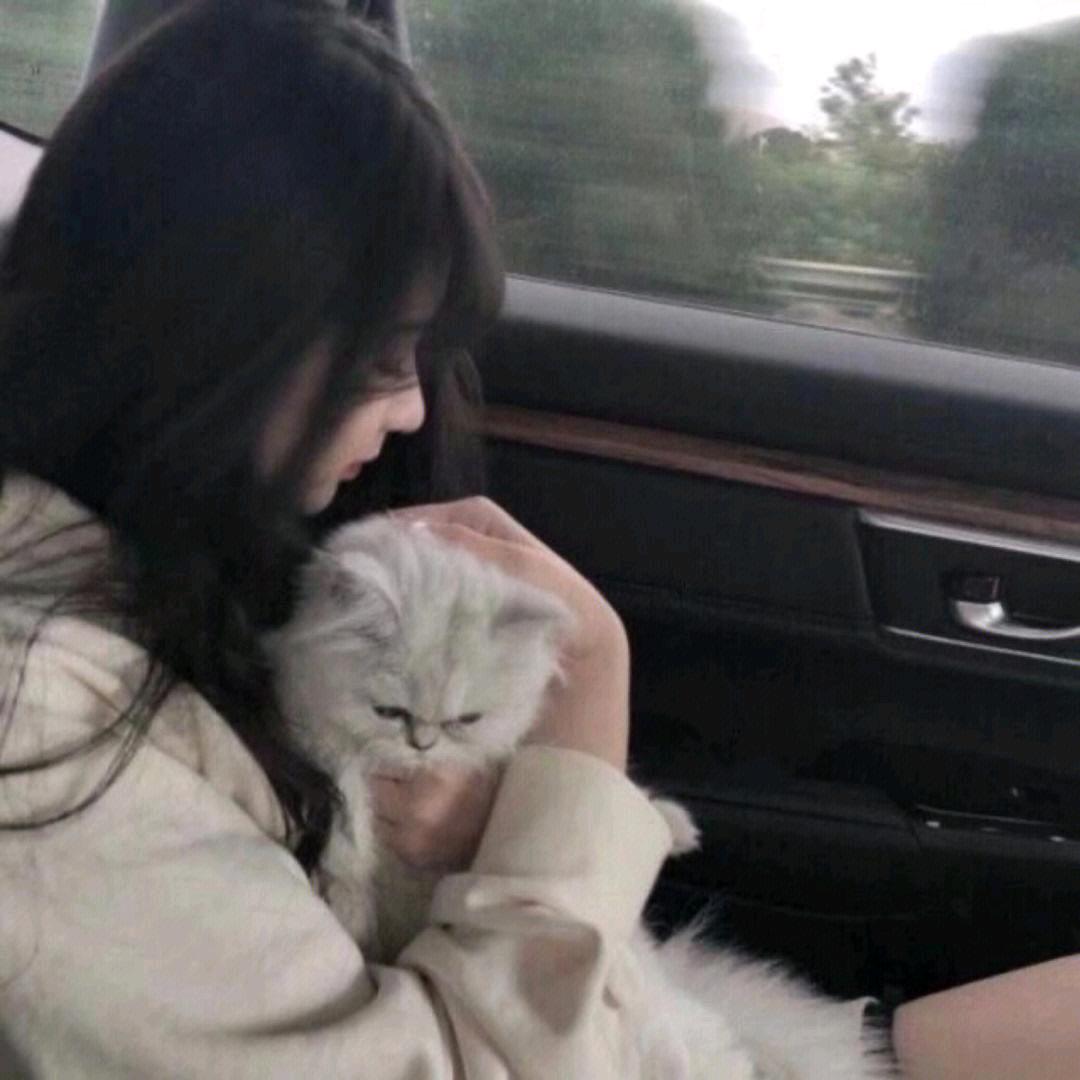 桉禾
