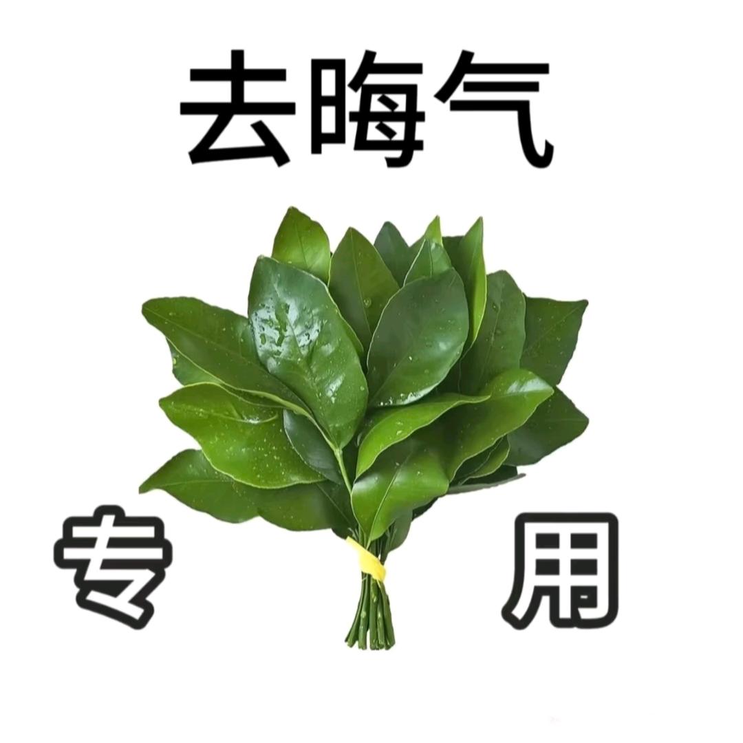 junjun不爱吃🥦