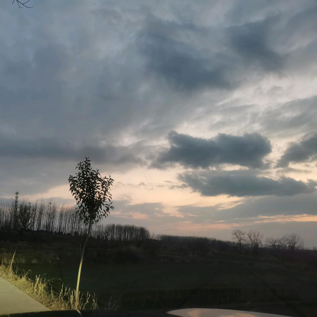 寿县涛涛农副产品