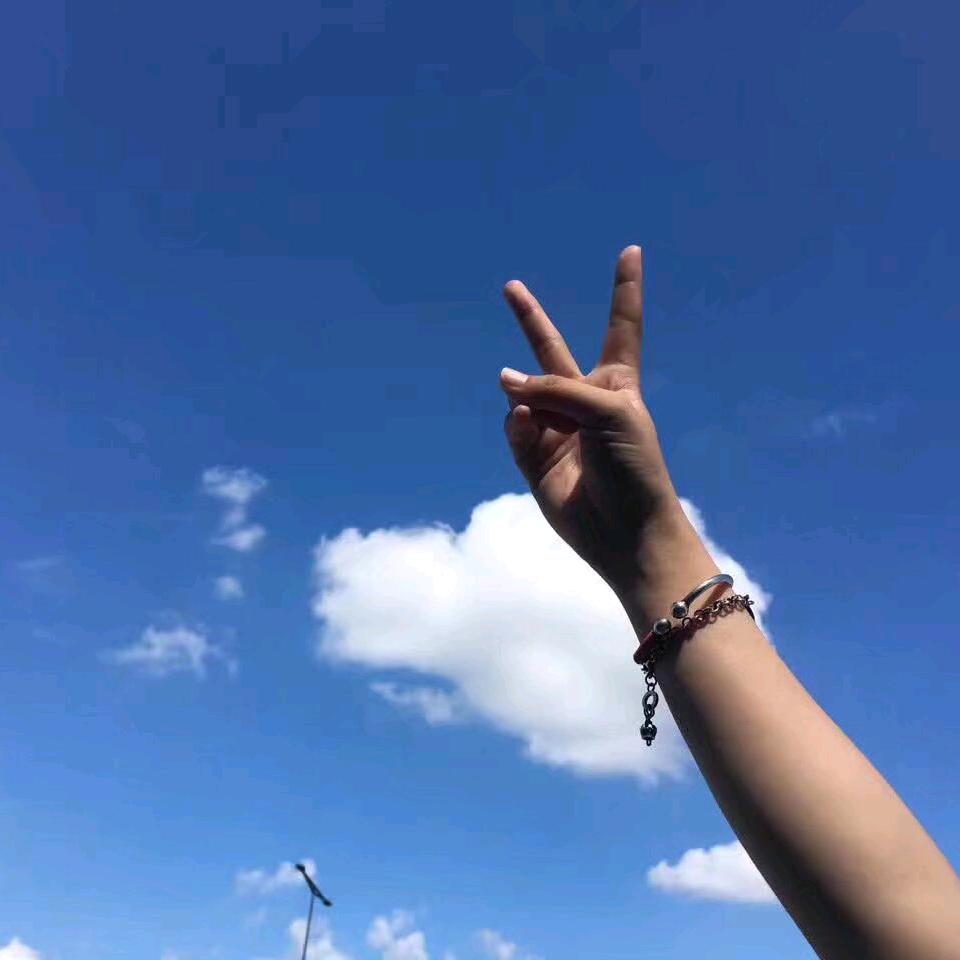 满世界的香菜