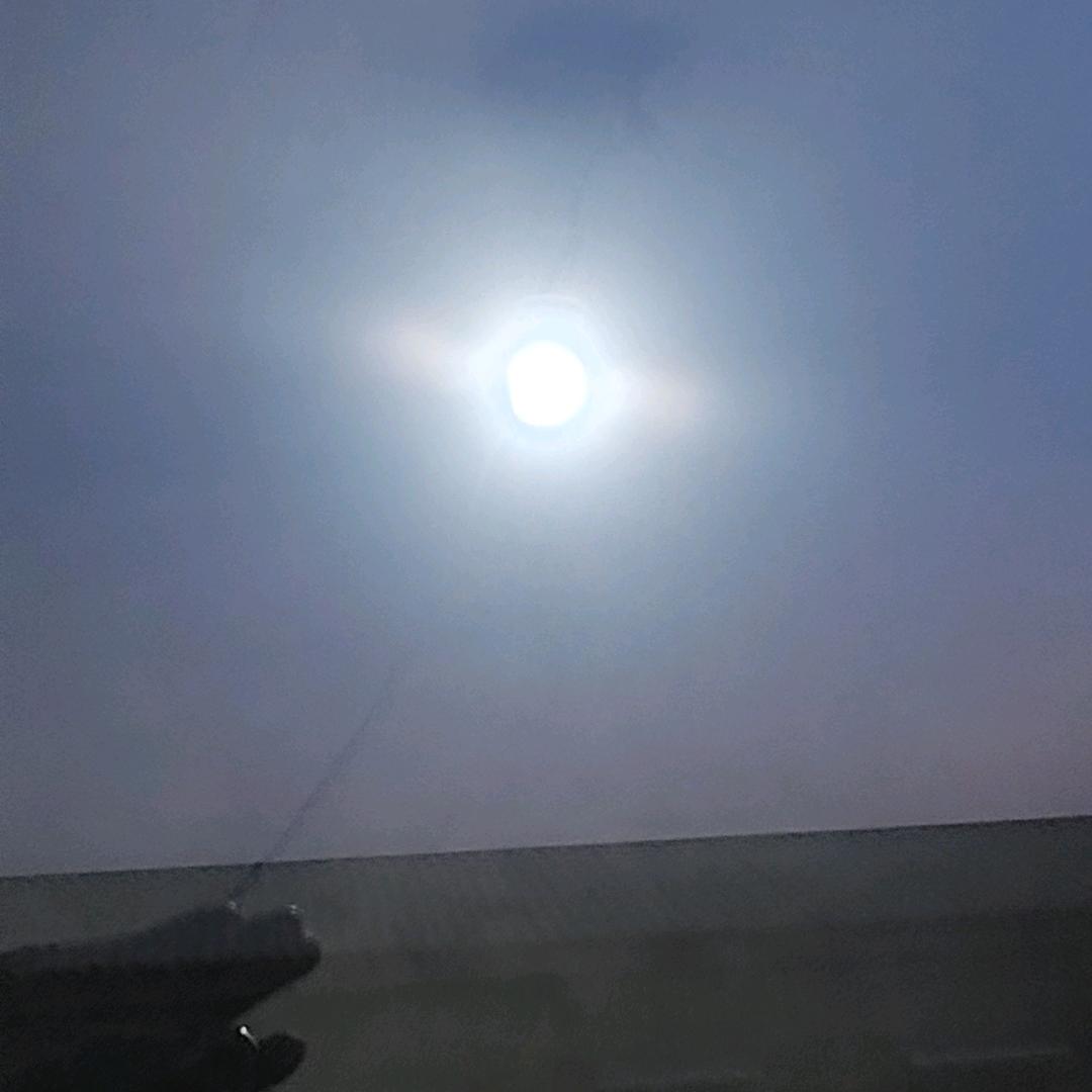 随风