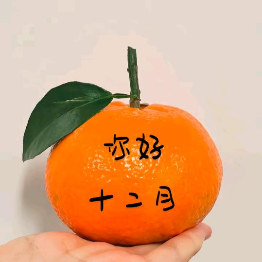 ᥫᩣℒ 兜兜转转ঞ᭄