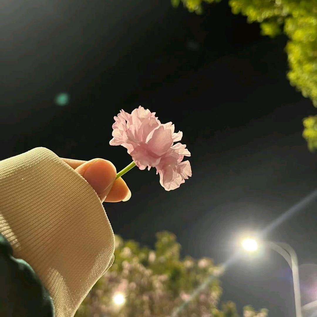 小倔驴